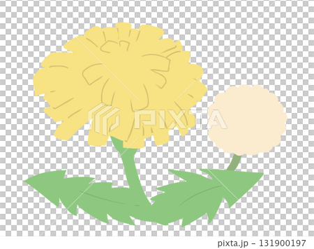 タンポポ 主線なし タンポポ 主線なし 131900197