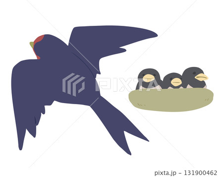 燕の子育て 主線なし 燕の子育て 主線なし 131900462