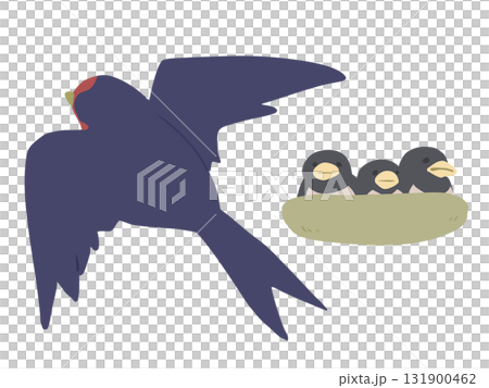 燕の子育て 主線なし 燕の子育て 主線なし 131900462