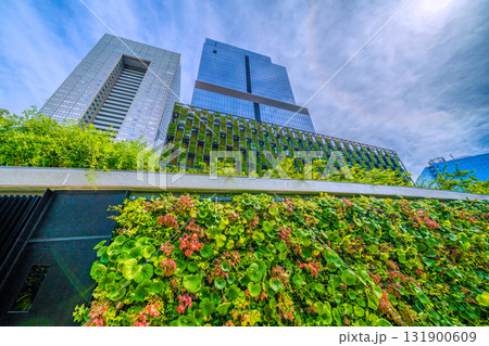 日本の東京都市景観　ブルーフロント芝浦やハロなどを望む 131900609