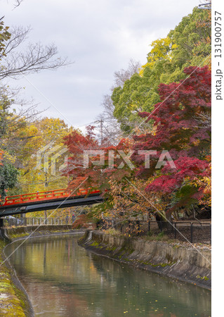 紅葉と正嫡橋　琵琶湖疏水 131900757