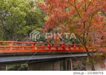紅葉と正嫡橋　琵琶湖疏水 131900758