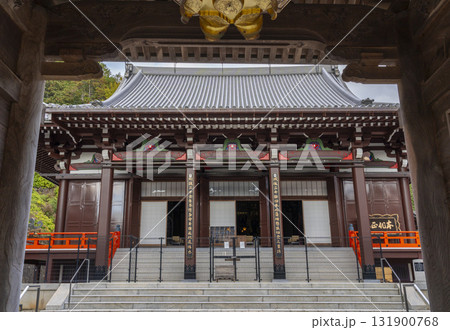 本圀寺　大本堂　紅葉の季節 131900768