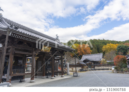 本圀寺 仁王門 紅葉の季節 本圀寺 仁王門 紅葉の季節 131900788