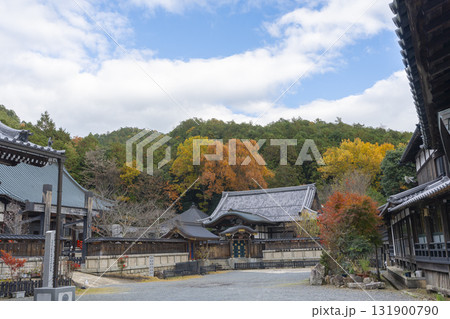 本圀寺 勅使唐門 本圀寺 勅使唐門 131900790