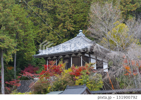 本圀寺　一切経蔵　紅葉の季節 131900792