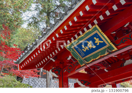 本圀寺　開運門（赤門）　紅葉の季節 131900796