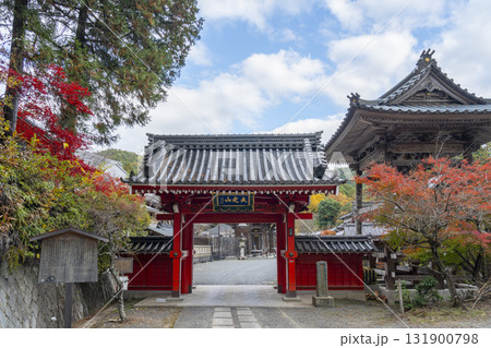 本圀寺　開運門（赤門）　紅葉の季節 131900798