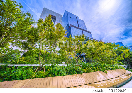 日本の東京都市景観　ブルーフロント芝浦やハロなどを望む 131900804