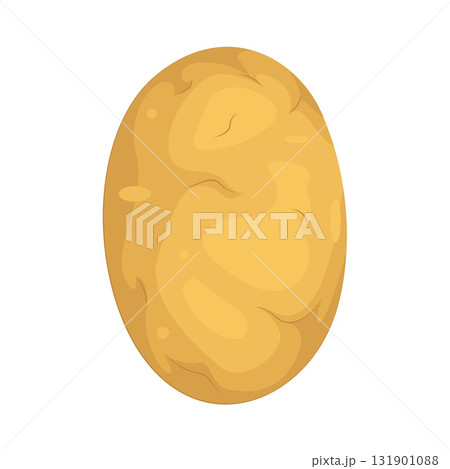 Illustration of potato  131901088