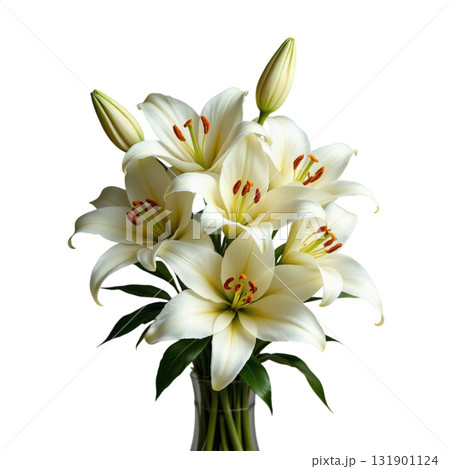 Elegant cluster of white lilies with green leaves in glass vase, showcasing delicate petals and vibrant stamens 131901124