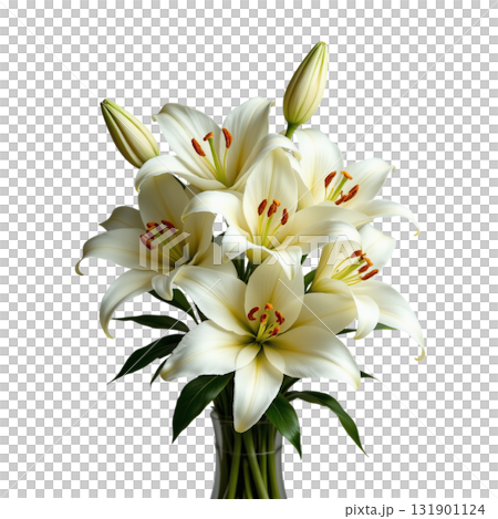 Elegant cluster of white lilies with green leaves in glass vase, showcasing delicate petals and vibrant stamens 131901124