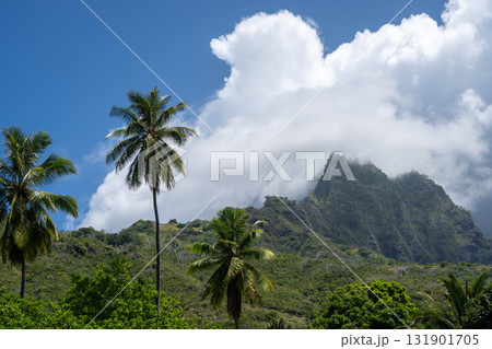 Mount Temetiu near Atuona, Hiva Oa, French Polynesia, Marquesas Islands 131901705