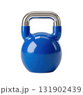 Blue Kettlebell with Steel Handle for Home Fitness Workout and Strength Training Exercise Equipment 131902439
