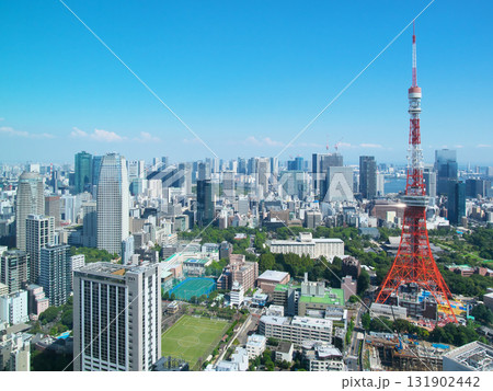 麻布台ヒルズより望む東京タワー～芝公園方面の眺望　 都市景観（2025年9月） 131902442