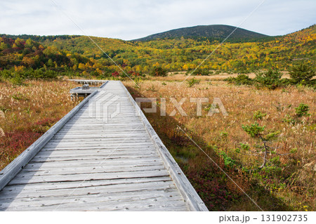 黄葉彩る浄土平 131902735