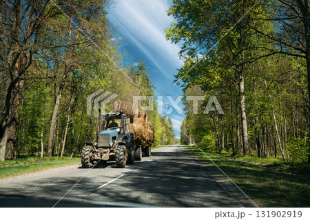 Tractor Is Carrying Hay On Cart. Tractor On Country Road Through Forest In Europe. Asphalt Road Against Background Of Eastern European Landscape. Agricultural Concept Tractor Is Carrying Hay On Cart. Tractor On Country Road Through Forest In Europe. Asphalt Road Against Background Of Eastern European Landscape. Agricultural Concept 131902919