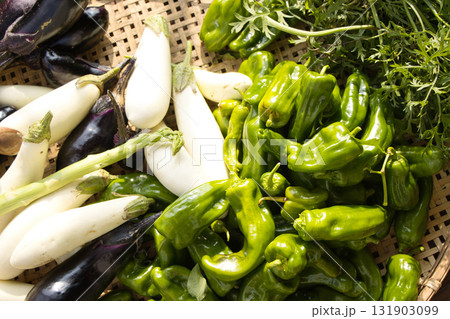収穫したての新鮮な夏野菜 131903099