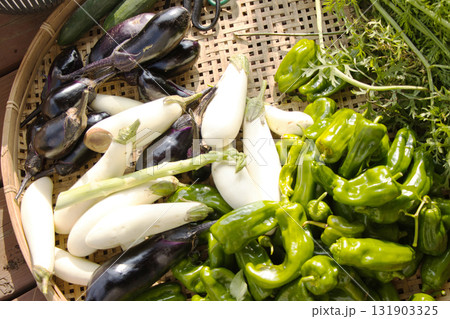 収穫したての新鮮な夏野菜 131903325