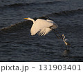 夕暮れの白鷺 131903401