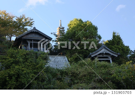 琵琶湖の多景島 琵琶湖の多景島 131903703