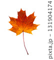 An autumn maple leaf isolated. A yellow and red cutout maple leaf. 131904174