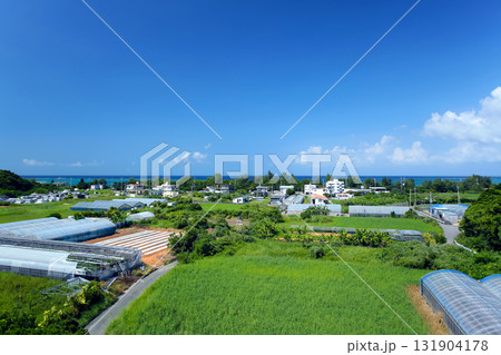 沖縄　恩納村　谷茶周辺の風景 131904178
