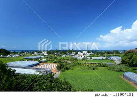 沖縄 恩納村 谷茶周辺の風景 沖縄 恩納村 谷茶周辺の風景 131904181