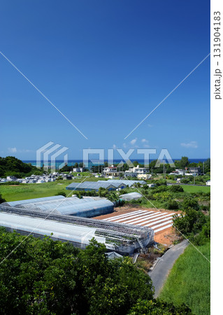 沖縄 恩納村 谷茶周辺の風景 沖縄 恩納村 谷茶周辺の風景 131904183