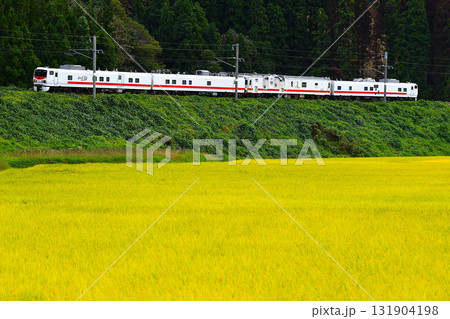 East-i D（キヤE193系）マヤ50連結④ 131904198