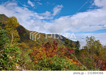 栂池自然園の展望台から見る雲海と紅葉の風景 131904366