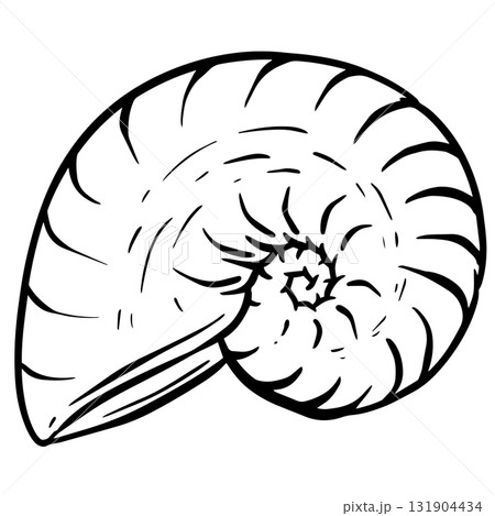Hand drawn clipart illustration of seashell shell mollusc seaside shellfish  131904434
