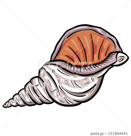 Hand drawn clipart illustration of seashell shell mollusc seaside shellfish Hand drawn clipart illustration of seashell shell mollusc seaside shellfish 131904441