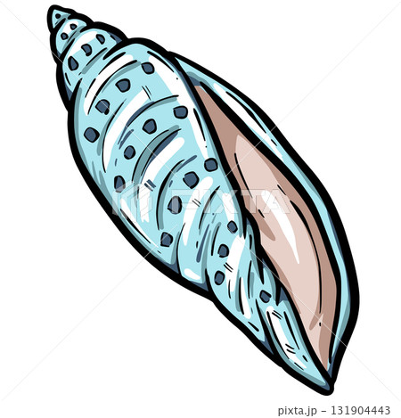 Hand drawn clipart illustration of seashell shell mollusc seaside shellfish  131904443