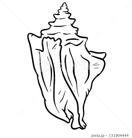 Hand drawn clipart illustration of seashell shell mollusc seaside shellfish  131904444
