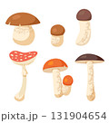 Set of various forest mushrooms in flat cartoon style isolated on white background including boletus chanterelle and fly agaric fungi 131904654