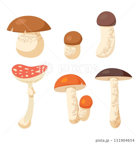 Set of various forest mushrooms in flat cartoon style isolated on white background including boletus chanterelle and fly agaric fungi 131904654