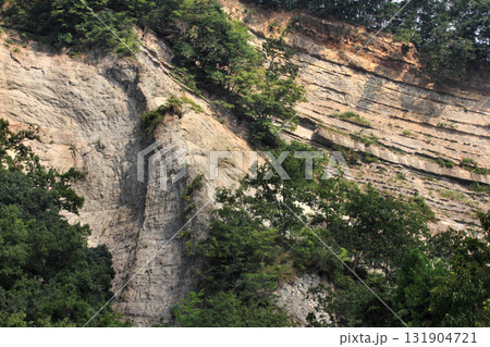 ようばけ ようばけ 131904721