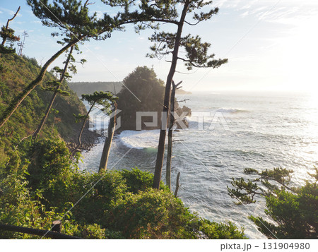 気仙沼大島の龍舞崎(宮城県気仙沼市) 気仙沼大島の龍舞崎(宮城県気仙沼市) 131904980