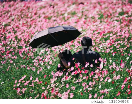 コスモスの花畑で観光旅行する人 131904998