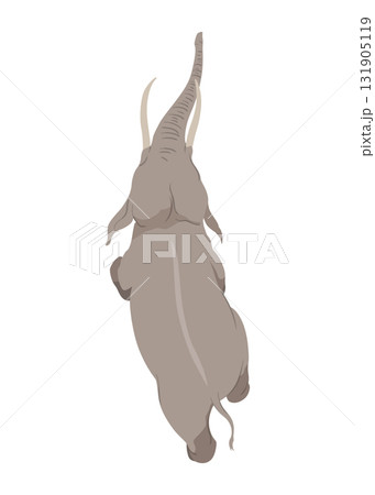 Flat vector elephant in poses African of Asian animal with large ears and long trunk. Wildlife theme 131905119