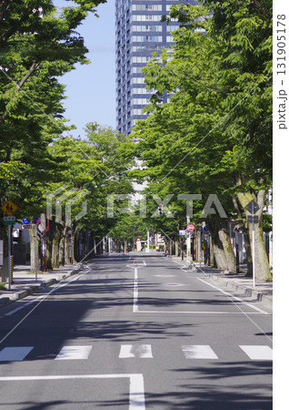 並木道5 並木道5 131905178
