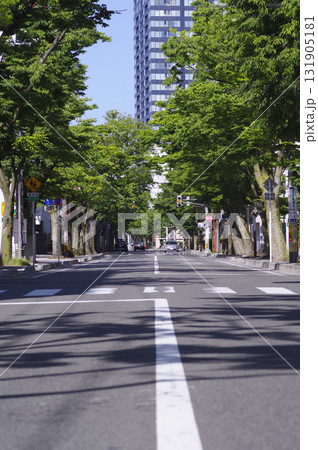 並木道2 131905181