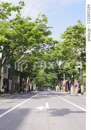 並木道20 131905184
