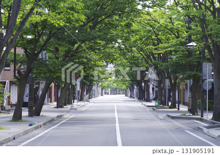 並木道14 131905191