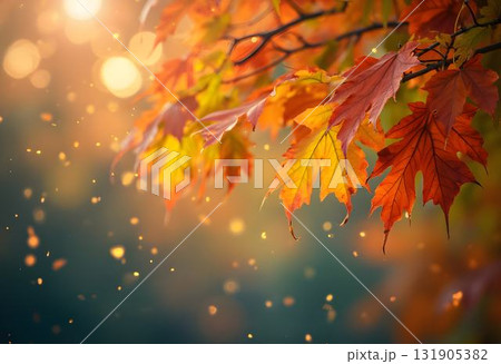 Colorful Autumn Leaves with Bokeh Lights for Fall Background 131905382