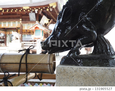 護王神社のイノシシ 護王神社のイノシシ 131905527