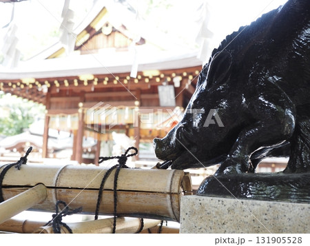 護王神社のイノシシ 護王神社のイノシシ 131905528