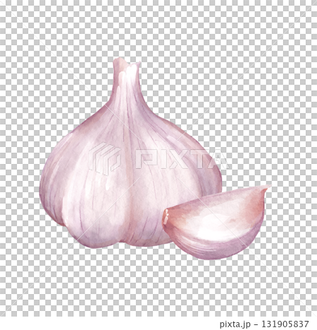 Watercolor illustration of white garlic bulb and single detached clove. Design for cooking blog decor, restaurant menu, recipe card, or healthy food packaging. 131905837