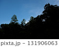 秋の空に伸びる木々 131906063